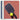 Pickleball Paddles